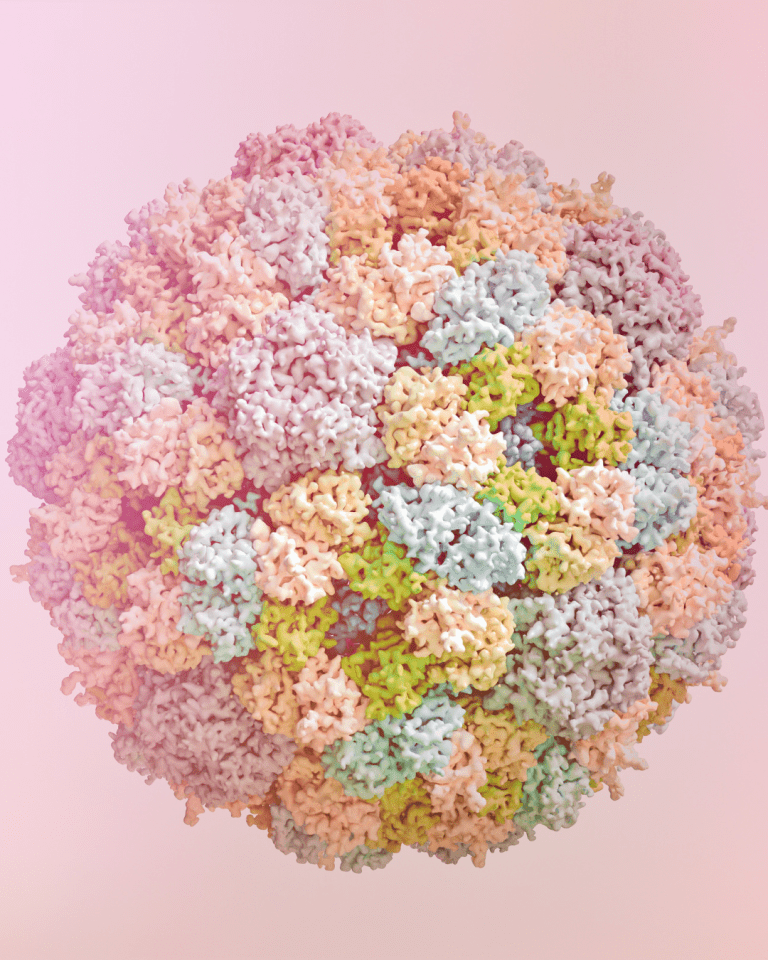 Bacteriophage Therapy in Dermatology: A New Frontier in Skin Disease Management 